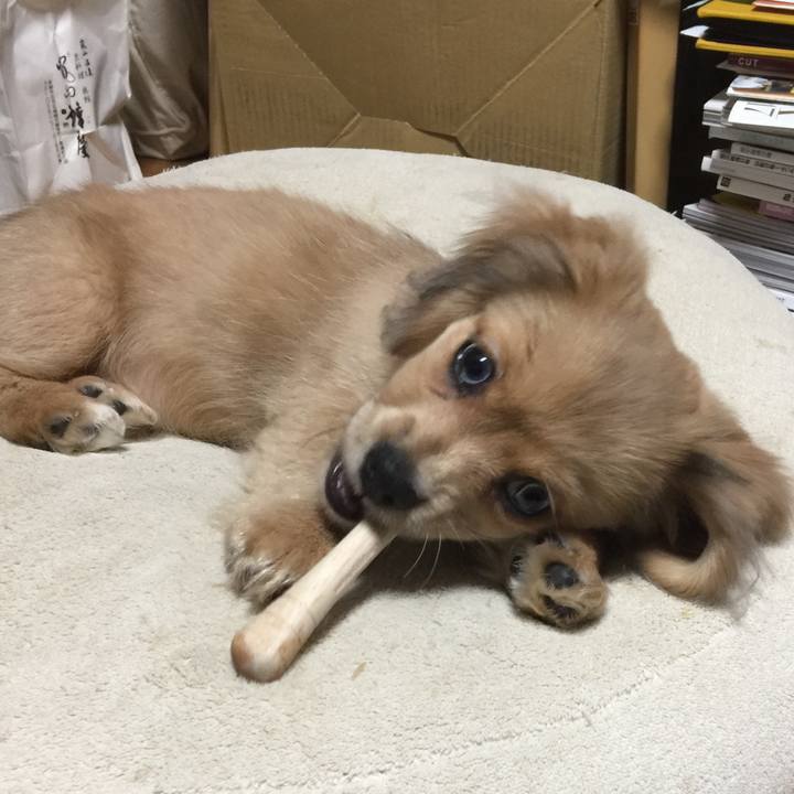 E1935714 8c5b 4742 b243 1407fa7ed3e8