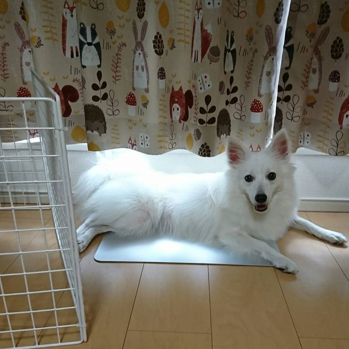 E1936e22 a755 4d35 942f 229c6374e256