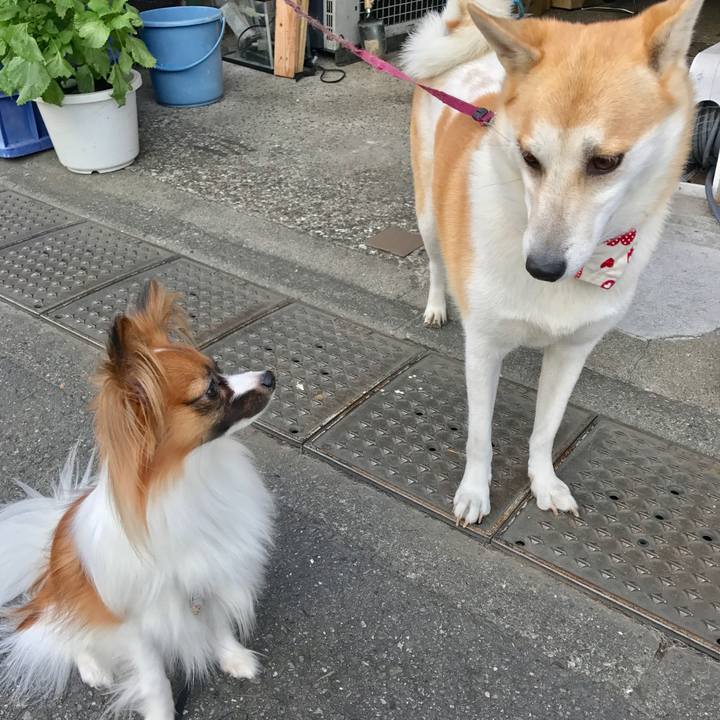 E194a72e 15ad 4414 89ef 6a653303d2c4