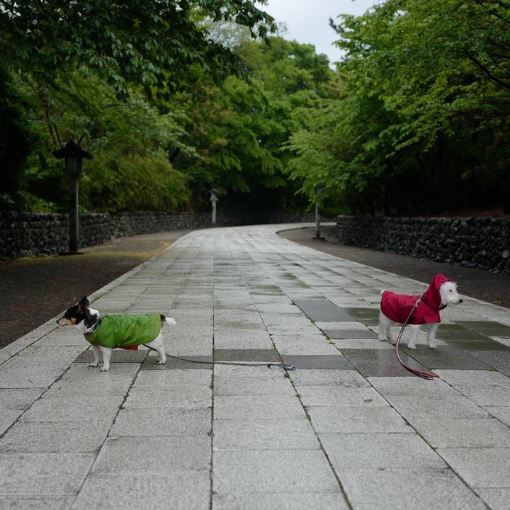 E195b58b 7d88 4427 ade3 4dde41c5815e