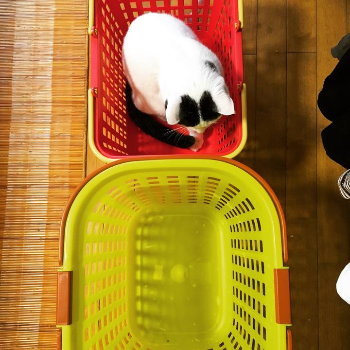 E195c45a fbc8 4453 9bf4 3cb75373c4e6