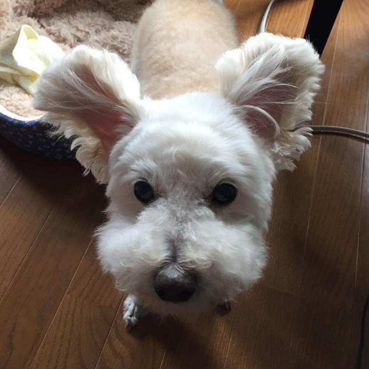 E195e664 cc0a 4acf bd2d 140db4af0c82