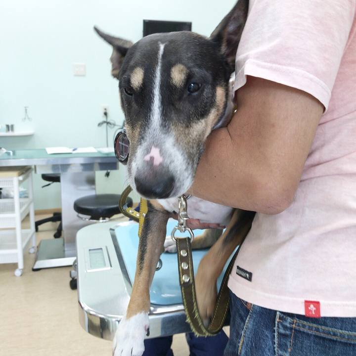 E196bc11 946d 4f7a ad6e ca769f92778d