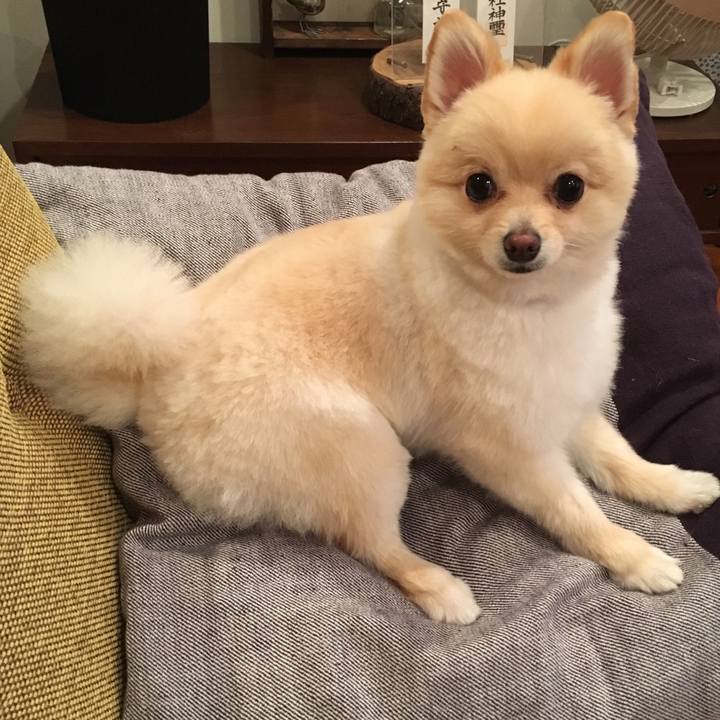 E197924c deea 4b7b b45c fa2e84ec78e2