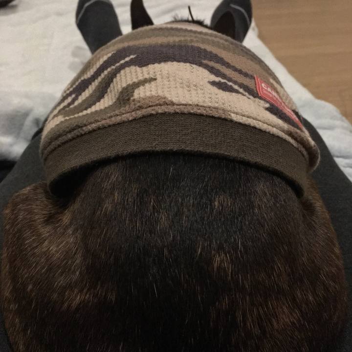 E1988ba8 80ce 43da 8376 12bd3949e38e