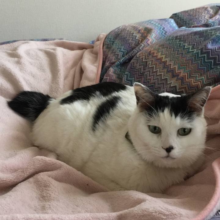 E19990b9 8ccf 4a72 bbc5 fe3796fc9bf7