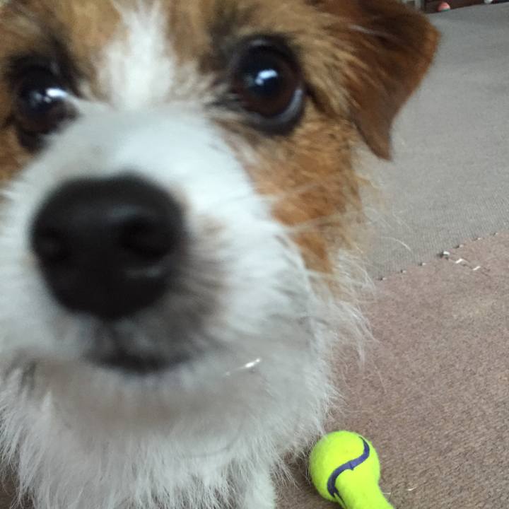 E199c561 48cd 433e 86c1 a9aef3ef1be2