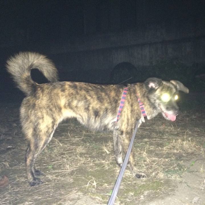 E199e9d9 4e48 4ffe a1aa 6673621ba75b