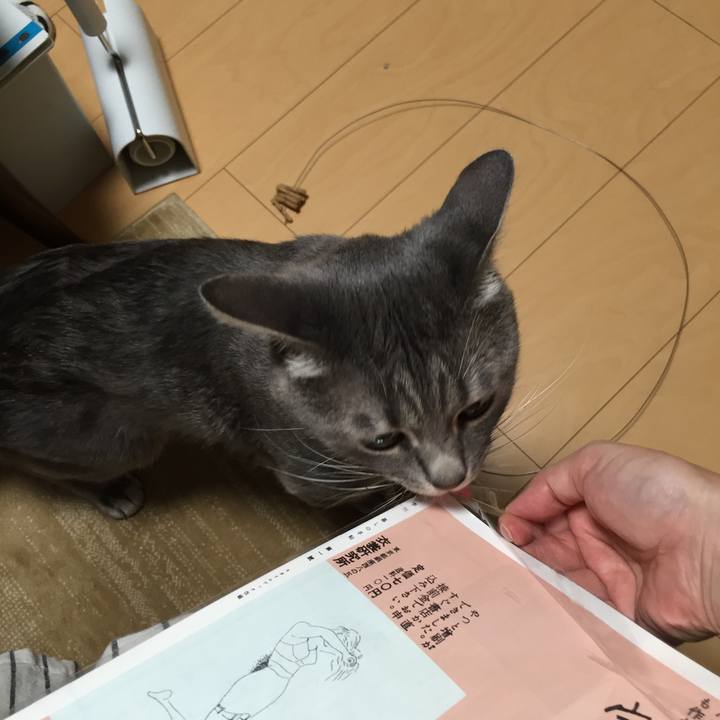 E19a931b c550 47f0 8c6f d2e7e9bbded4