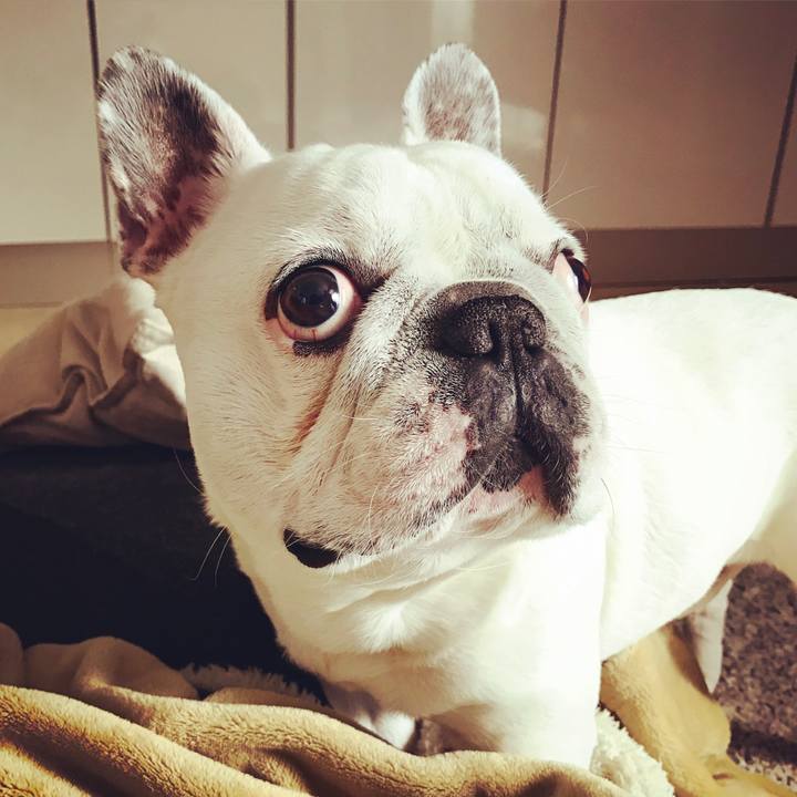 E19c5de9 34ab 4e99 914b 03030da68e47