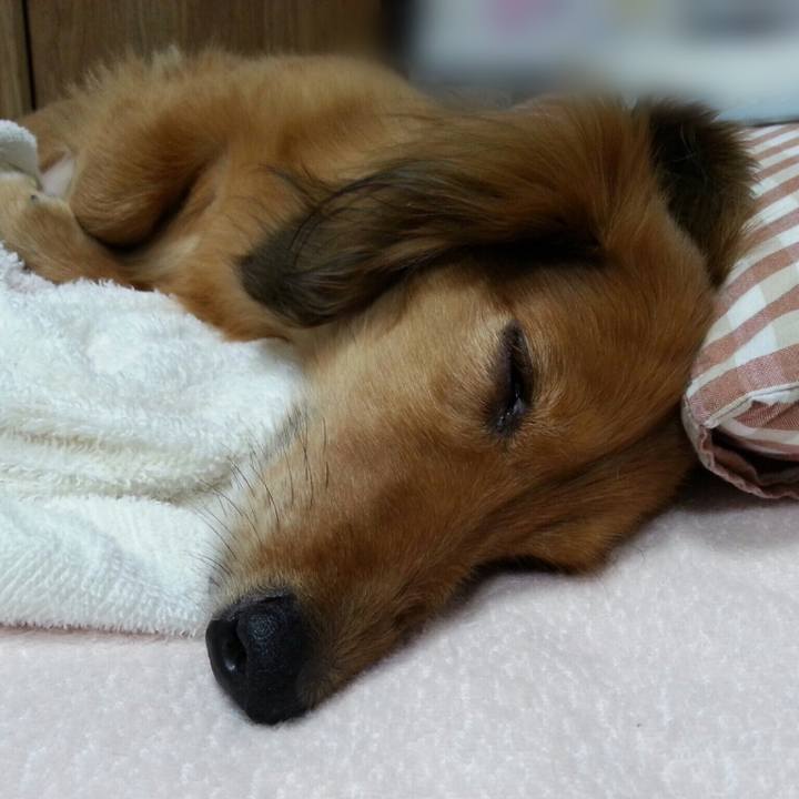 E19cecfe 46d8 4941 b644 52e5cd7b3eba