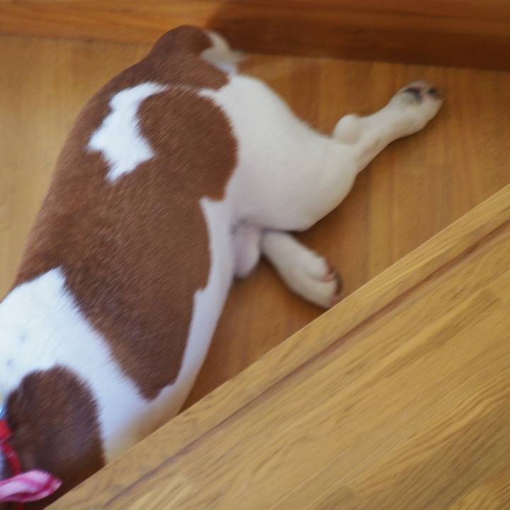 E19df6c4 cf05 4c27 87a3 af27e7944355