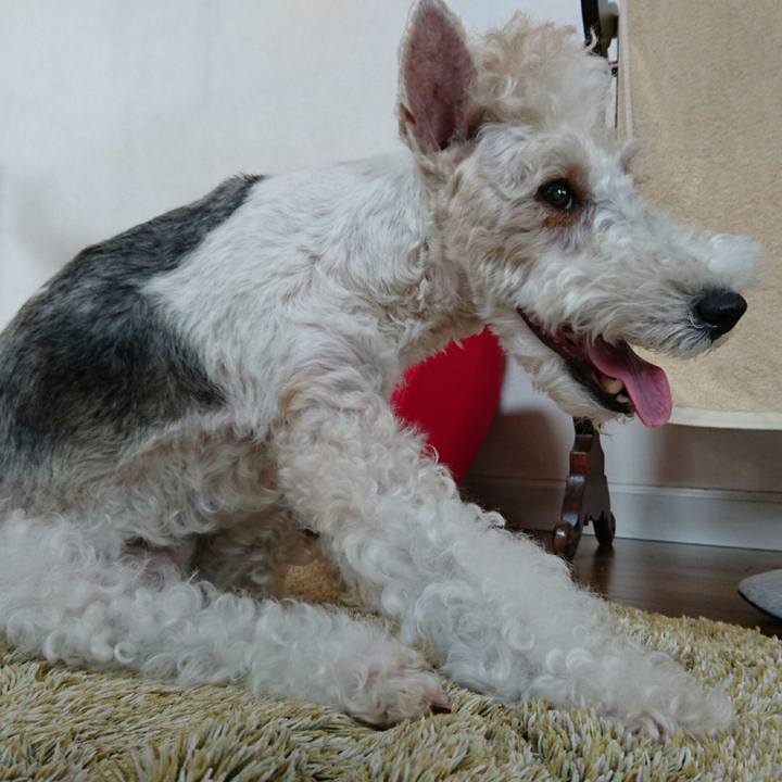 E19e164a ea1a 48a2 83e2 36c9559399fe