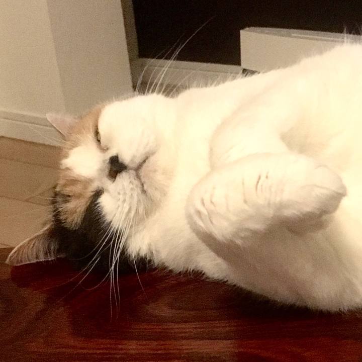 E19e328d c98b 4be2 970f 3ac964db8b0d