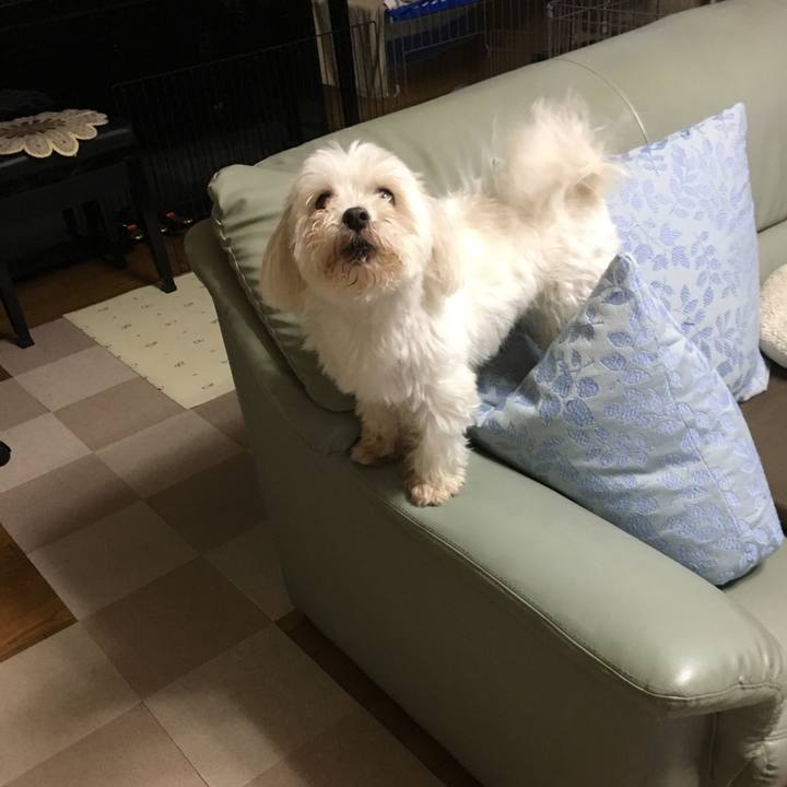 E19f7123 3cb7 411b 817b 448b67448d72