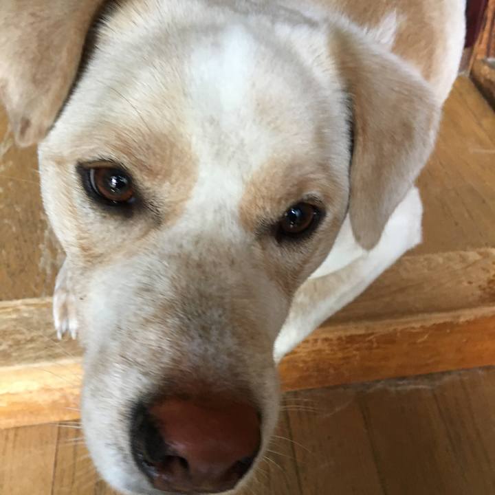 E19fb834 a730 43d0 bf70 6861703c5aa9