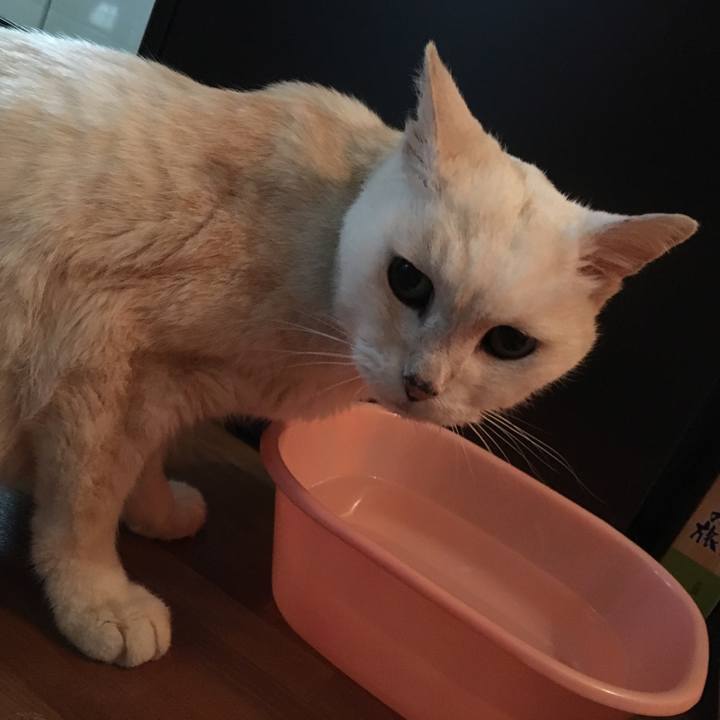 E19fe45a bcbf 4792 ad67 44cc2ffb43e0