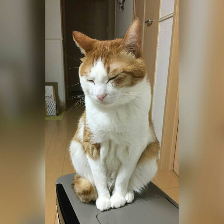 E1a0a54c 0ba7 4602 8257 4e0b750f173d