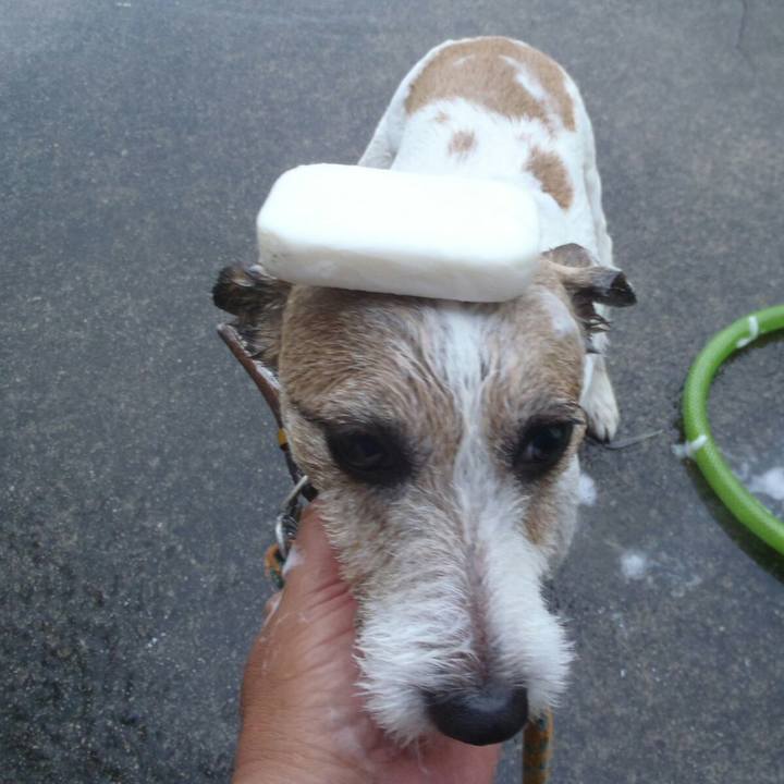 E1a0a5e1 c980 4a5f 8d3d 6146bb704430