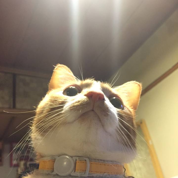 E1a26537 7e2d 4a32 a78c 73628860c9b5