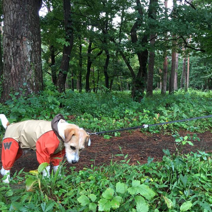 E1a3aba0 609c 4243 bc61 92d38f604ae2