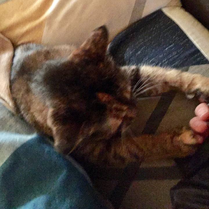 E1a455fe 5f90 4e16 8d82 d2116ad1c369