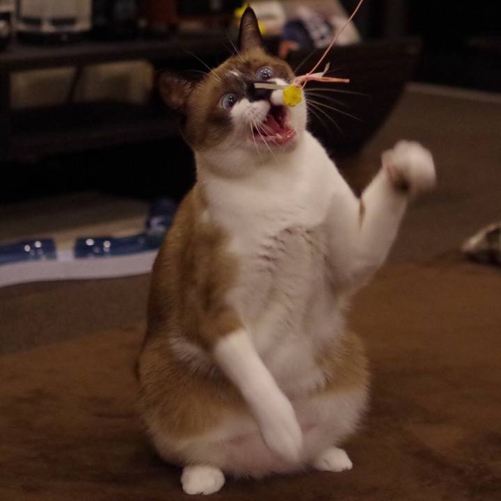 E1a4765a f260 4944 aec5 5987af89250a