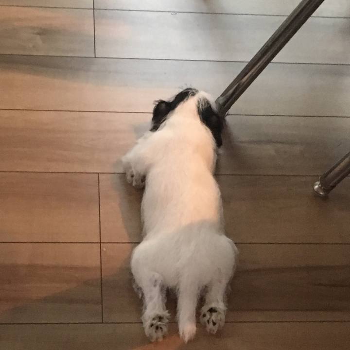 E1a47a86 4d71 4b19 8606 d3c43d999a7f