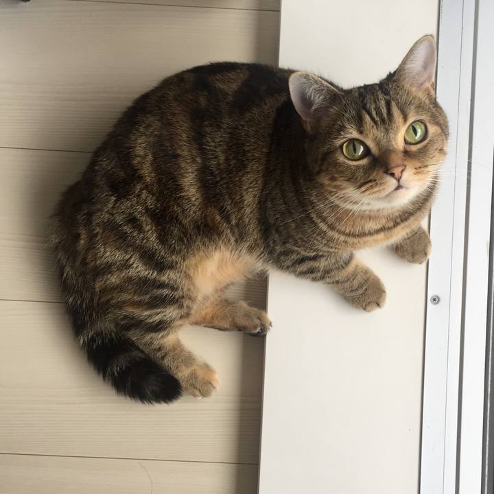 E1a512ae 9d84 4e99 8510 556211b4dce9