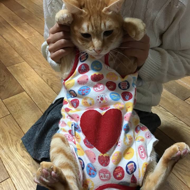 E1a5646c bfa3 47d6 8464 8924e55d093f