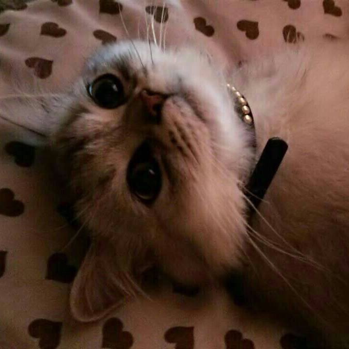 E1a5fa60 be3e 49bf b27f dcd1226d77af