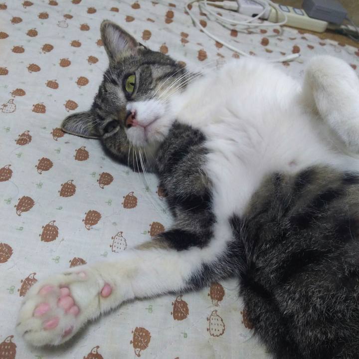 E1a6122d 9a89 4bd8 94f4 2004c83a52a1