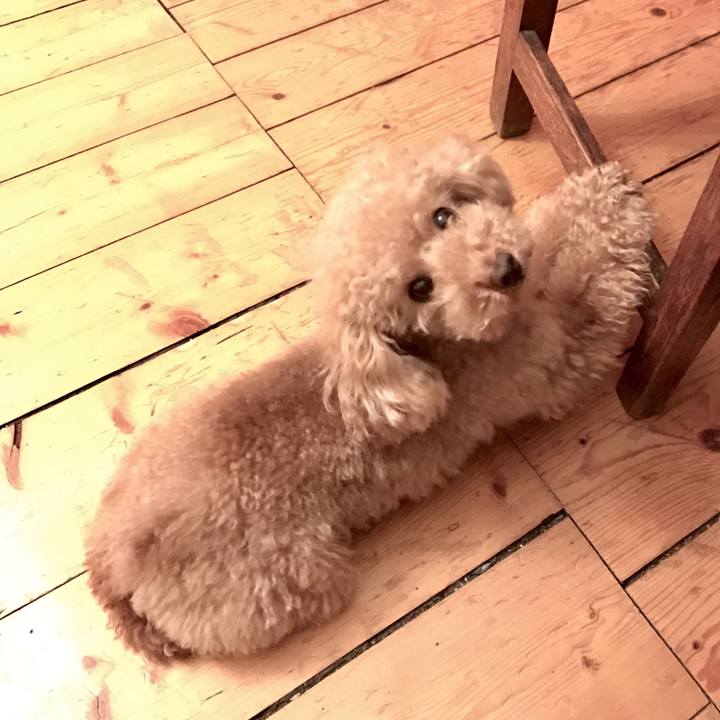 E1a6569f 0035 4165 8b8d 007b13edaea5