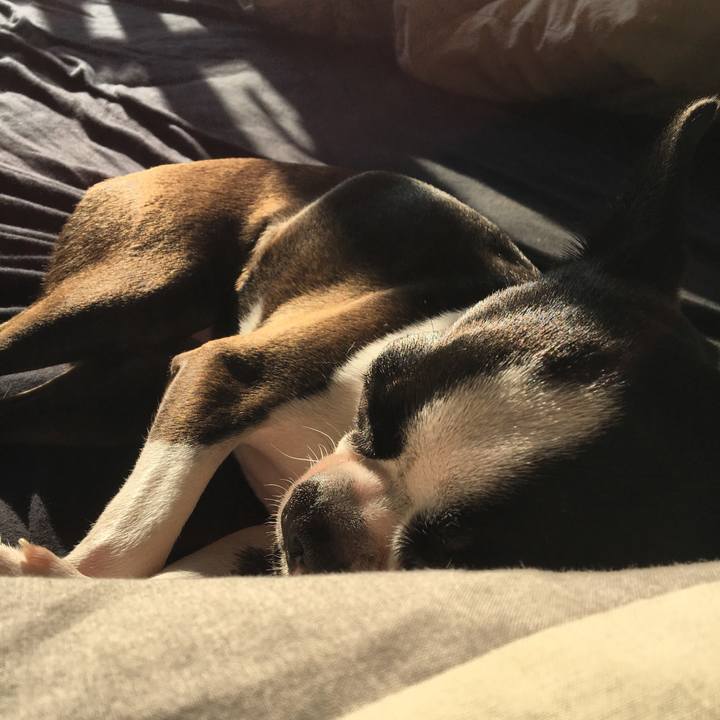 E1a662df bb06 41ff 8462 b33d5bc1120d