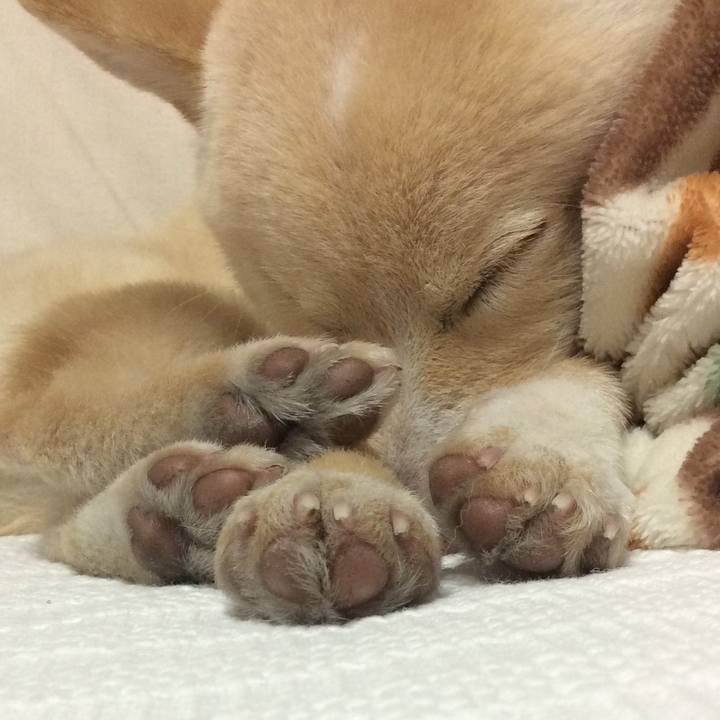 E1a69aa7 9ddf 43da 93f5 41217935e394