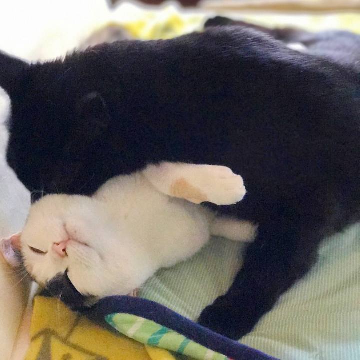 E1a6f82c a4cc 4d9c 8629 5e8a69bf3191