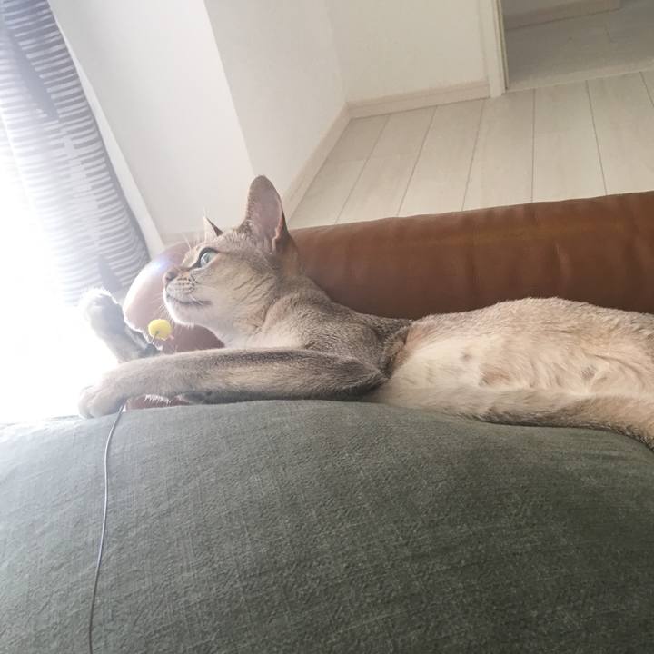 E1a7037c 9a41 4143 bd1d 8319c2fc135c