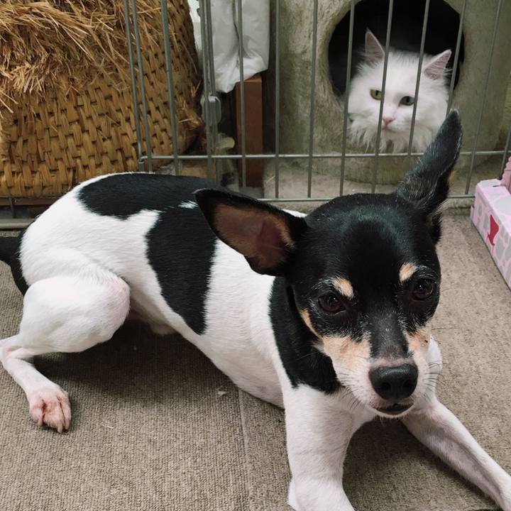 E1a72873 6b7e 46ff add3 5fd7851df8a2