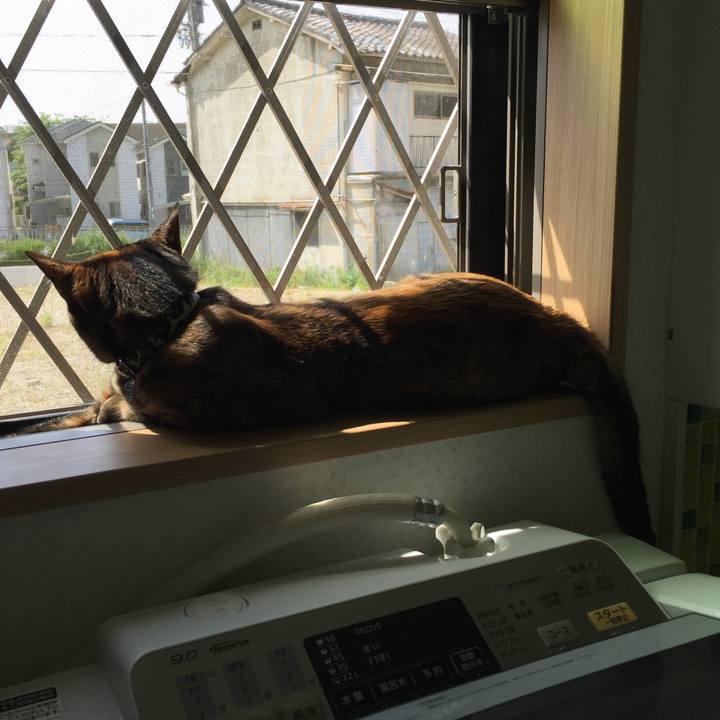 E1a74808 02d8 4eeb b745 f48121480d4c