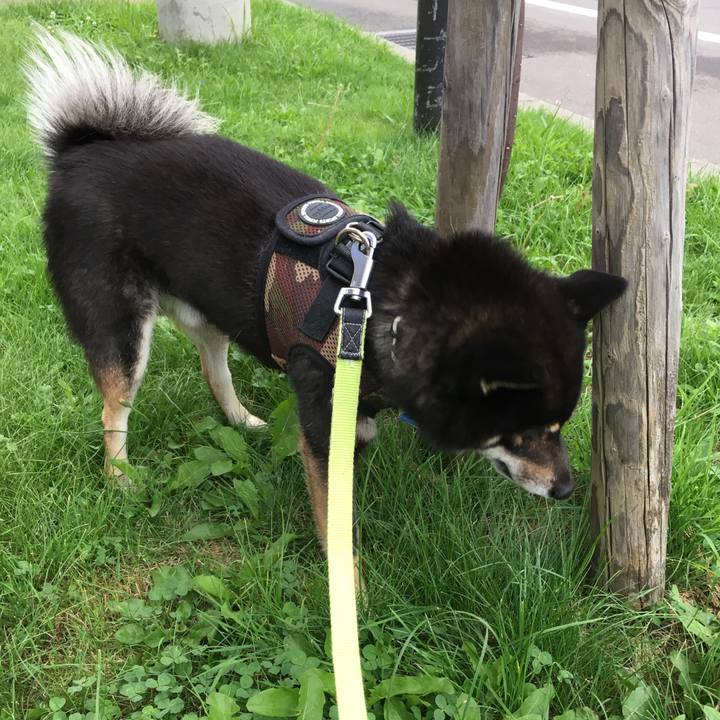 E1a74fb9 d1d0 4819 81f6 bda31da7ad53