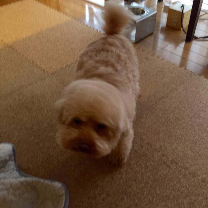 E1a81a77 acef 4d30 9224 13e8ed7a7fa6