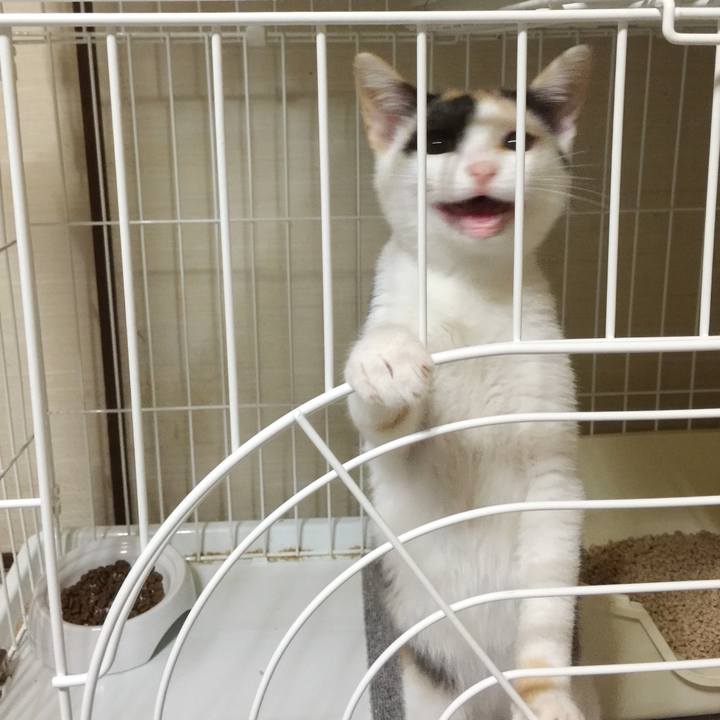 E1a84122 6ca1 4168 9057 eb2c6d558d4d