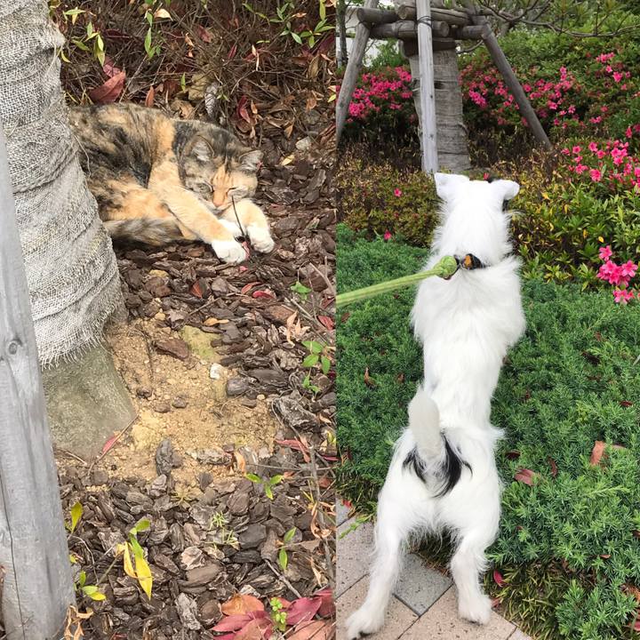 E1a89ac0 c025 4f0e a079 d189569f026b