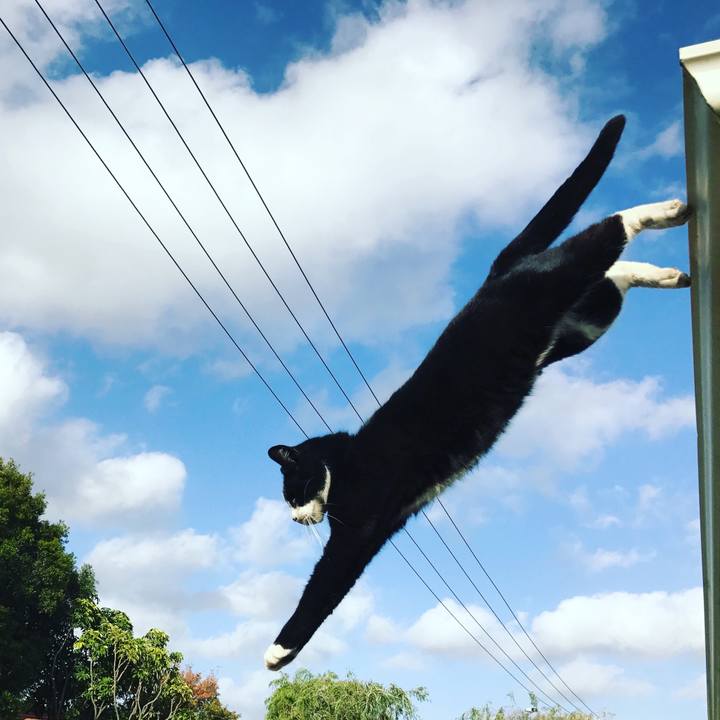 E1aa8e78 e5c7 448c b6ea 08b6d7126563