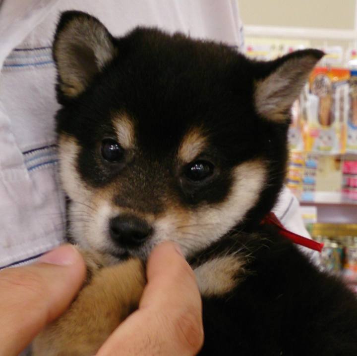 E1abcb08 17a7 4194 8cbd 107681d79094