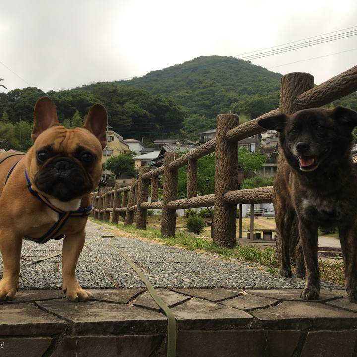 E1abd68d 17df 42f2 b768 e09a19f64d57