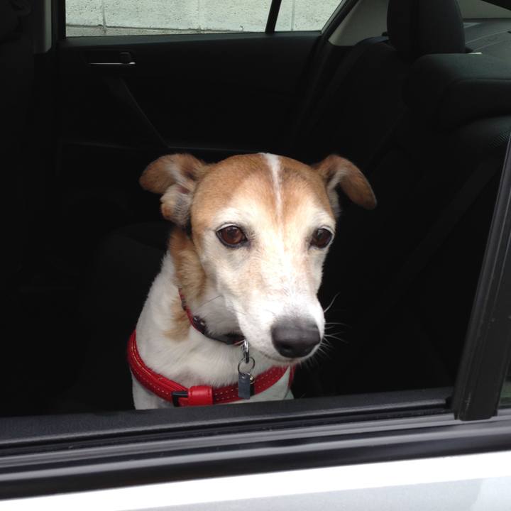 E1abfb85 1736 43ff 85fb 292cbab73599