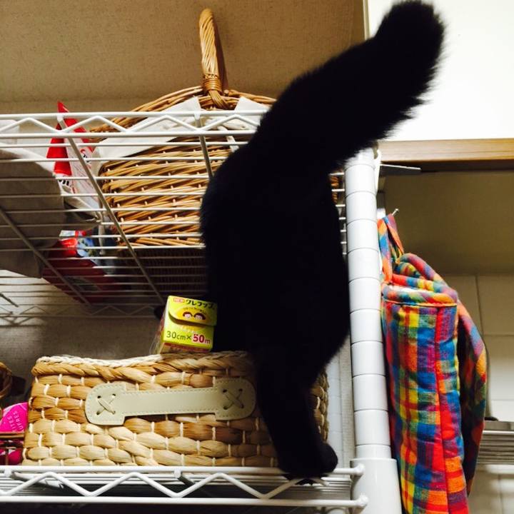 E1ad1bd4 41ad 497f 8225 2d8a7a9147d8