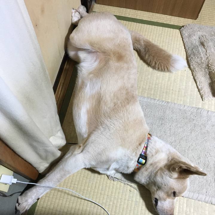 E1ad50d2 e9a1 48ed b7b3 0bae450cf5ec