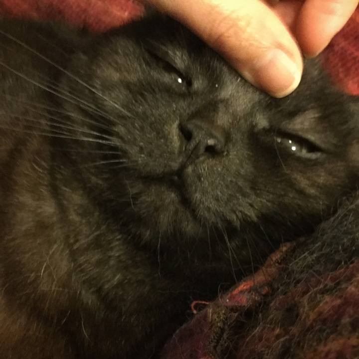 E1adab09 049a 4972 8867 aa7ad37b43ac